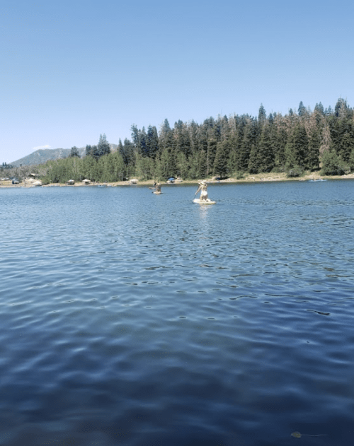 A serene lake surrounded by trees and mountains under a clear blue sky, with gentle ripples on the water's surface.
