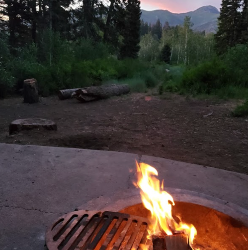 A campfire burns in a fire pit, surrounded by trees and mountains at dusk.