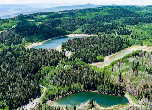 Aerial view of lush green forests and winding blue lakes under a clear sky.