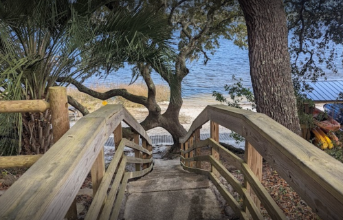 A wooden pathway leads to a serene lakeside view, surrounded by trees and greenery.