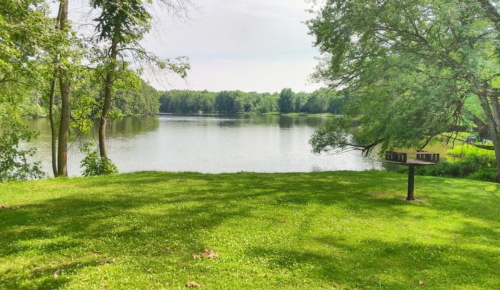 A serene lake view surrounded by lush green grass and trees under a clear sky.