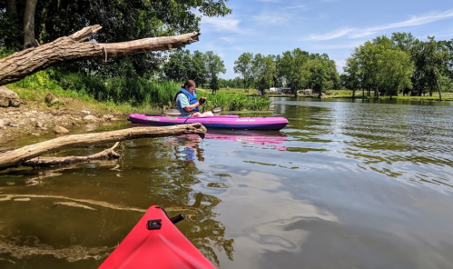 A person in a purple kayak paddles on a calm river, with trees and a log in the foreground under a clear blue sky.
