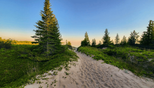 A sandy path winds through lush greenery and tall trees under a clear blue sky at sunset.