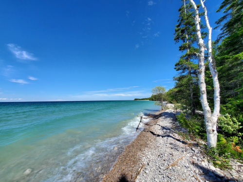A serene lakeshore with clear blue water, rocky beach, and green trees under a bright blue sky.