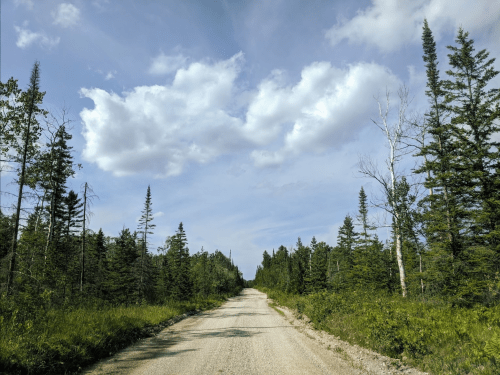 A gravel road stretches through a lush green forest under a blue sky with fluffy white clouds.
