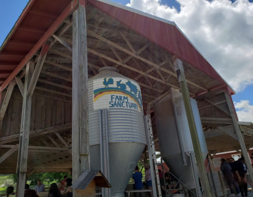 A rustic shelter with a grain silo labeled "Farm Sanctuary" and people gathered underneath, set against a blue sky.