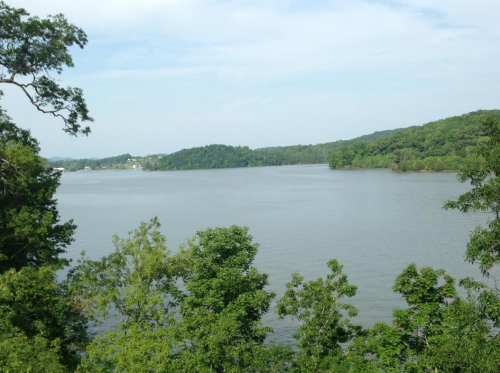 A serene view of a calm lake surrounded by lush green trees and distant hills under a clear sky.