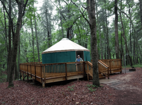 A wooden yurt on a deck surrounded by trees in a lush, green forest. A person stands at the entrance.
