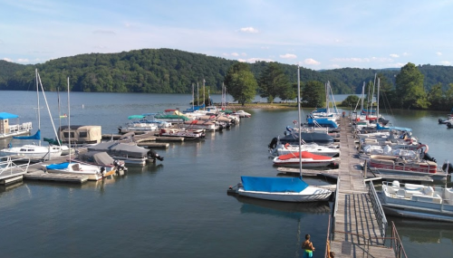 A serene marina with various boats docked, surrounded by lush green hills under a clear blue sky.
