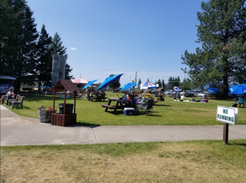 A sunny park scene with picnic tables, umbrellas, and people relaxing on the grass, surrounded by trees. Sign reads "No Running."
