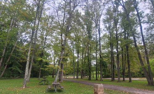 A serene park scene with tall trees, green grass, and picnic tables under a cloudy sky.