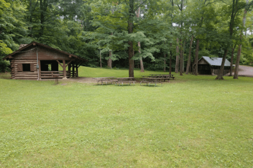 A grassy area with two wooden structures and picnic tables surrounded by trees.