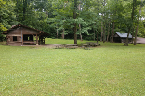 A grassy area with two wooden structures and picnic tables surrounded by trees.