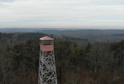 A tall fire lookout tower stands amidst a dense forest, with rolling hills visible in the background under a cloudy sky.