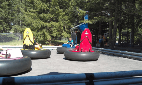 Children enjoying bumper cars on a sunny day, surrounded by trees and a fenced area.