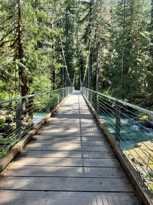 A wooden suspension bridge stretches over a river, surrounded by lush green trees in a serene forest setting.
