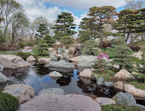 A serene garden scene featuring a pond, rocks, and lush greenery under a partly cloudy sky.