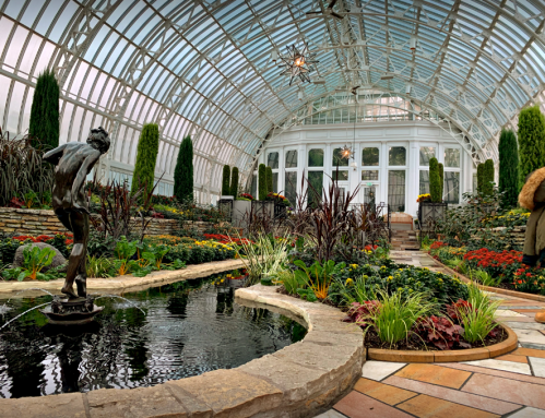 A lush greenhouse with vibrant flowers, a pond, and a statue, featuring a glass ceiling and stone pathways.