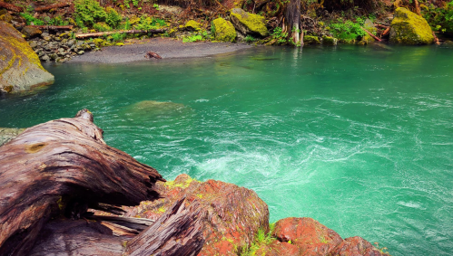 A serene river with turquoise water flows past moss-covered rocks and a fallen log in a lush, green forest.