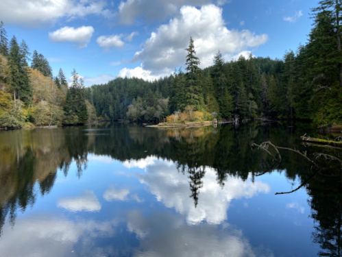 A serene lake surrounded by trees, reflecting clouds and greenery under a blue sky.