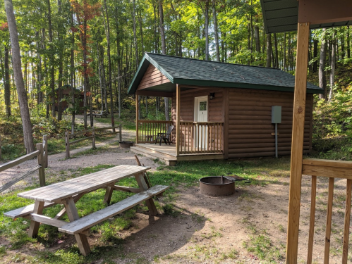 A cozy wooden cabin in a forested area, with a picnic table and fire pit in front, surrounded by trees.