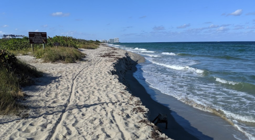 A sandy beach with gentle waves, bordered by grass and a sign, under a clear blue sky.