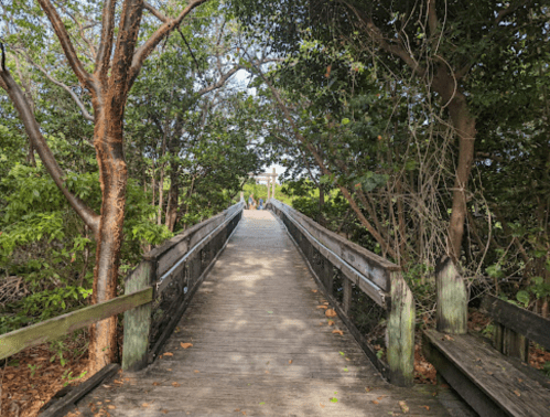 A wooden boardwalk leads through lush greenery, inviting visitors to explore the natural surroundings.
