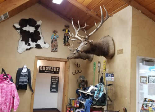 Interior of a rustic shop featuring mounted deer heads, cowboy decor, and clothing displays.
