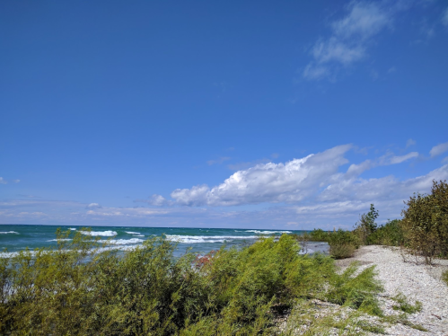 A serene beach scene with gentle waves, blue sky, and scattered clouds, framed by lush greenery along the shore.