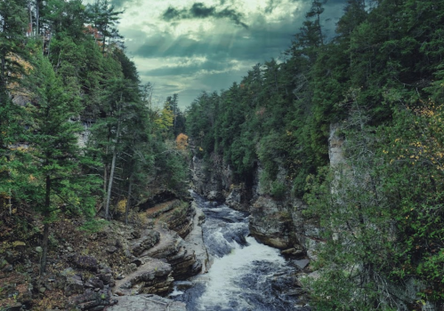 A winding river flows through a rocky gorge, surrounded by lush green trees under a cloudy sky.