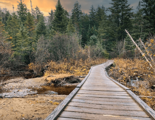A wooden boardwalk leads through a forest with autumn foliage and a stream, under a colorful sunset sky.