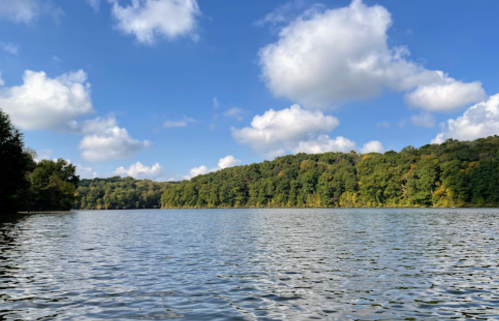 A serene lake surrounded by lush green trees under a bright blue sky with fluffy white clouds.
