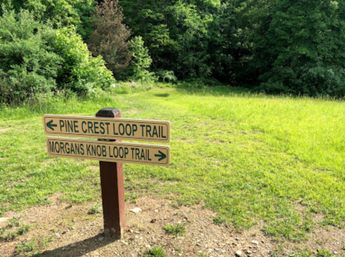 Signpost at a trail intersection with directions for Pine Crest Loop Trail and Morgans Knob Loop Trail in a green landscape.