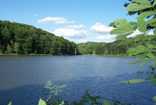 A serene lake surrounded by lush green trees under a partly cloudy sky.