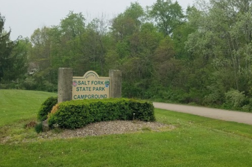 Sign for Salt Fork State Park Campground surrounded by greenery and a paved road.