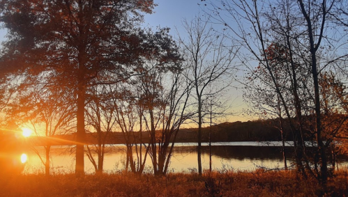 Sunset over a calm lake, framed by silhouetted trees and a warm, golden glow in the sky.