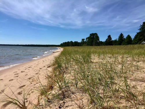 A sandy beach with tall grass, gentle waves, and a clear blue sky, lined by trees in the background.
