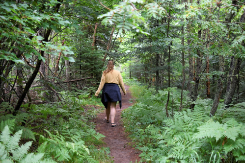 A person walks along a forest path surrounded by lush greenery and ferns.