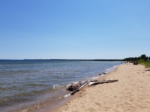 A sandy beach with gentle waves, driftwood scattered along the shore, and a clear blue sky in the background.