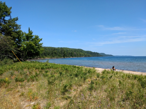 A serene beach scene with a clear blue sky, gentle waves, and a person sitting near the water's edge surrounded by greenery.