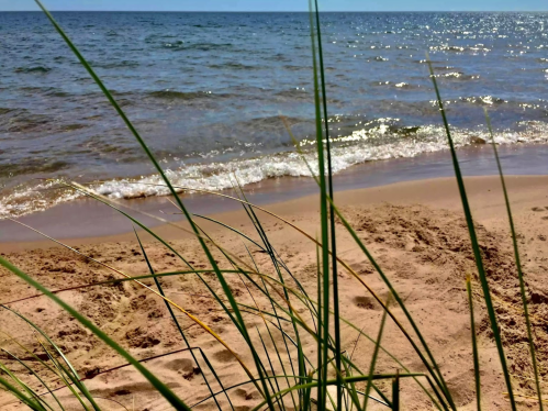 A sandy beach with gentle waves and tall grass in the foreground under a clear blue sky.