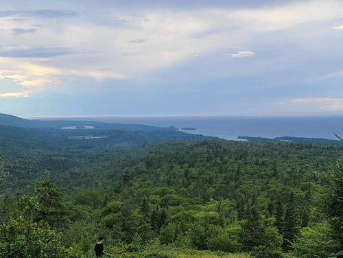 A panoramic view of lush green forests leading to a calm ocean under a cloudy sky.