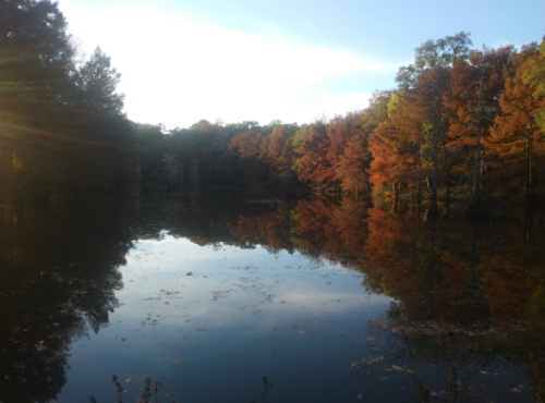 A serene lake surrounded by trees with vibrant autumn foliage reflecting on the water's surface.