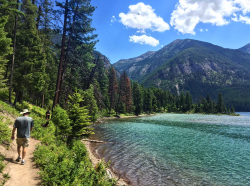 A scenic lakeside trail with hikers, surrounded by lush trees and mountains under a bright blue sky.