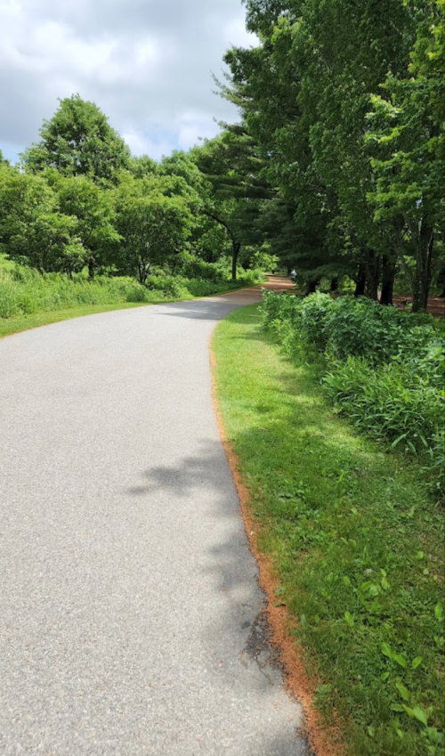 A winding path through lush greenery, with trees lining both sides under a partly cloudy sky.