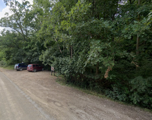 Two parked cars on a dirt road beside dense green trees and foliage.