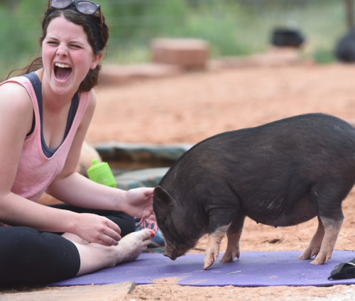 A woman laughs joyfully while sitting on a yoga mat next to a small pig in a sandy outdoor setting.