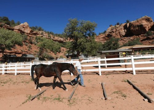 A person walks a horse along a sandy path in a ranch setting, surrounded by red rock formations and greenery.