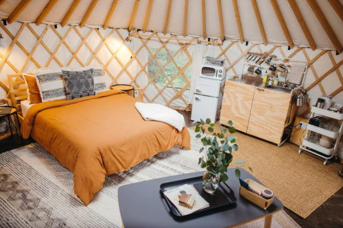 Cozy yurt interior featuring a bed, kitchenette, and decorative plants, with warm lighting and wooden accents.