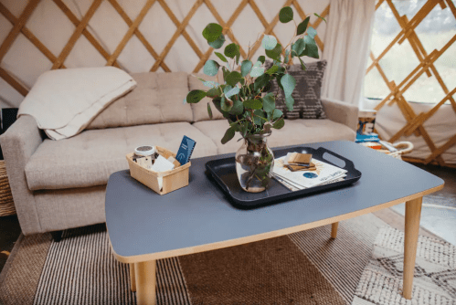 Cozy interior of a yurt featuring a sofa, coffee table with a plant, books, and a tray of snacks.
